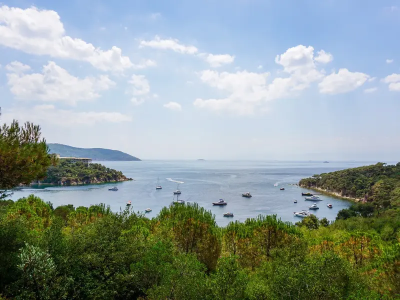 Princes Islands Tour with Lunch (2 Islands)